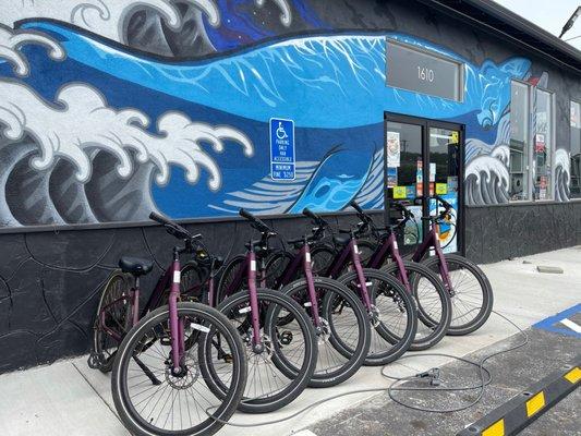 Electric Bike rental for $10 per hour