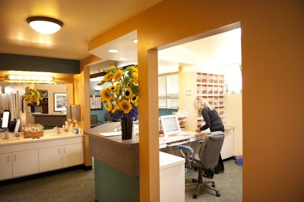 Marie Lathrop Orthodontics