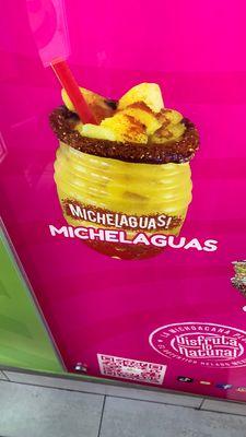 Example of what a Michelagua is supposed to look like