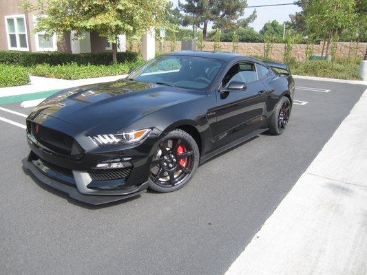 2016 Shelby GT350R!!! An absolute BEAST