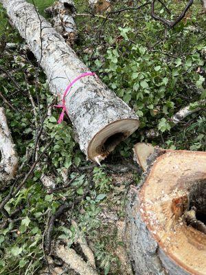 Fairbanks Stump Grinders