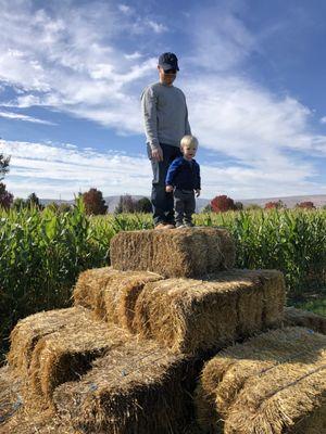 Hay bale pyramid