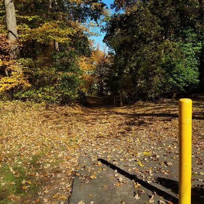 Trout Brook Trail