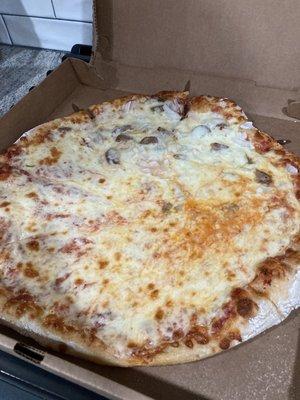 1/2 cheese and 1/2 sausage and onion pizza