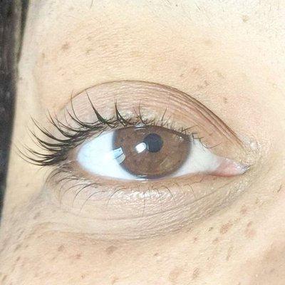 Winged out natural lash lift