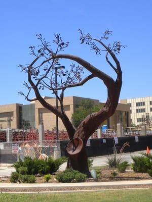 MESQUITE TREE by Jeremy Christopher. _Part of Abilene's Outdoor Sculpture Exhibition