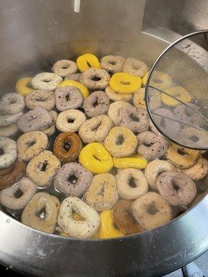 Boiling fresh bagels every day