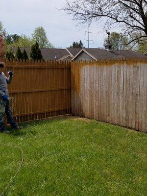 Restaining upgrade to privacy fence