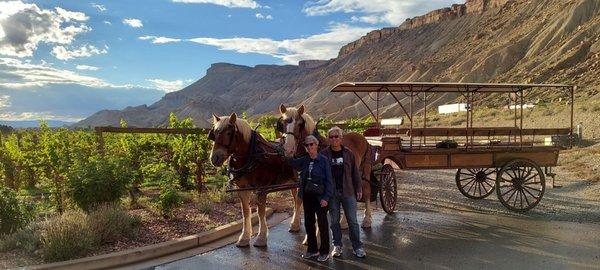 The photo was taken outside the driveway to the Wine Country Inn