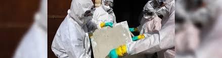 Asbestos Abatement