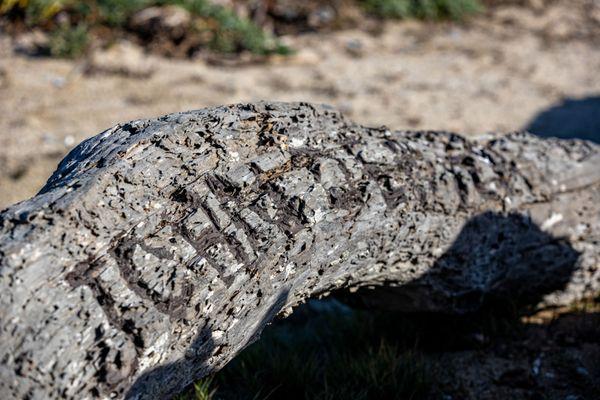 Pacific Grove Marine Gardens Park