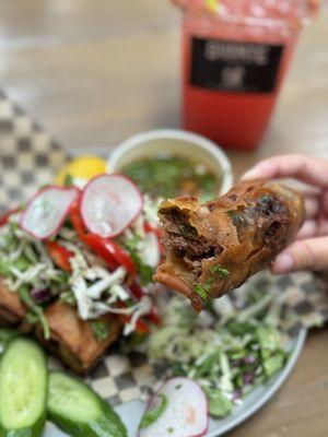 Brisket Birria Egg Rolls