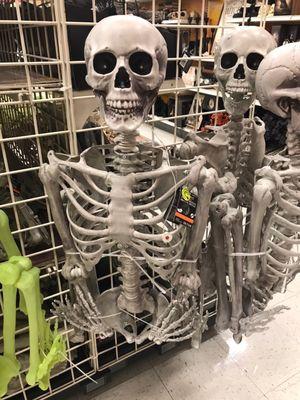 Skeletons