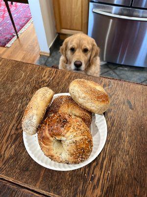 Bagels and Bissli