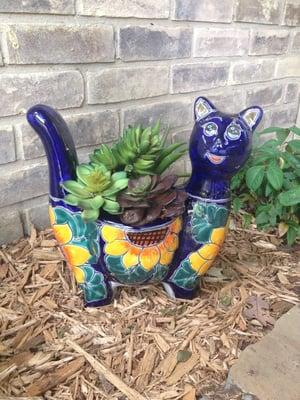 Cat planter!