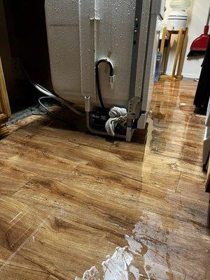 Flooded kitchen