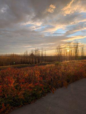 Another amazing sunset view as you step out of the tasting room