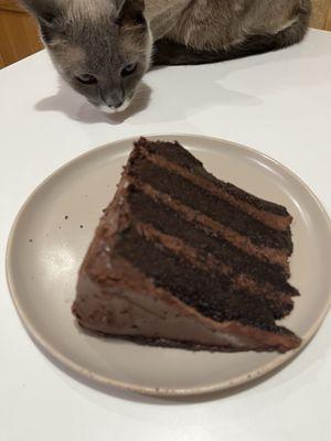 Chocolate slice, with Oliver lurking in the background