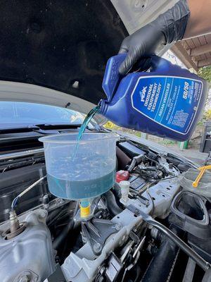 Radiator Coolant Flush