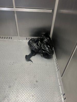 Trash in elevator