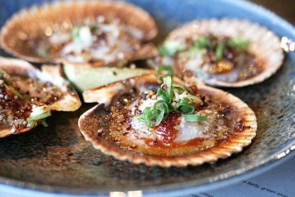 Grilled Scallops