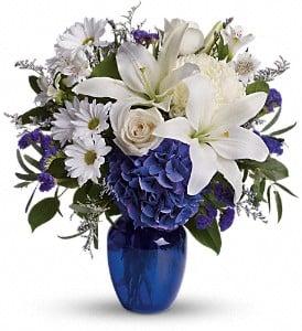 Laguna Niguel Flowers & Gifts