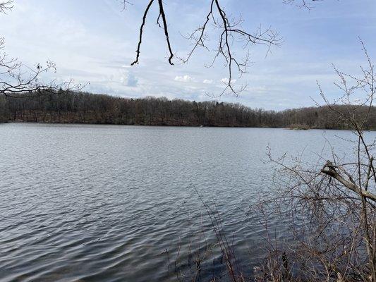 A view of the lake