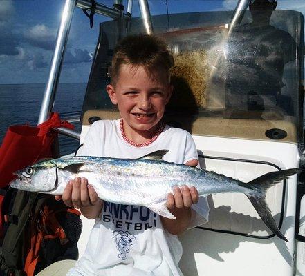 Spanish mackerel