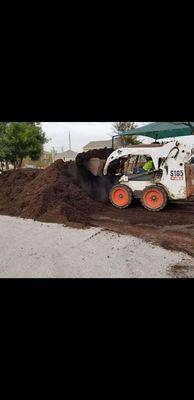 Picked and unloaded bobcat for another San Antonio business