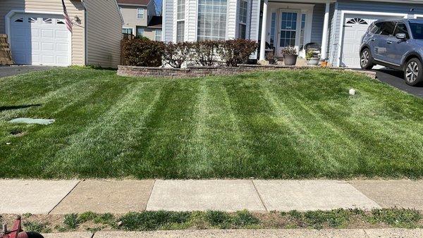 Blue Green Lawn & Landscape