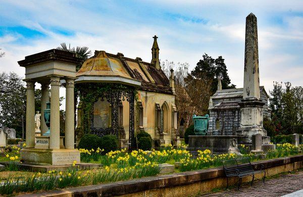 Daffodil Days at Oakland Cemetery