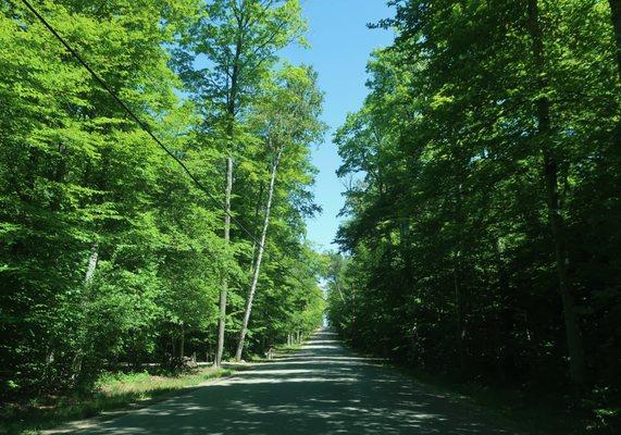 On the way to the park entrance.