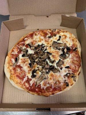 Mushroom pizza