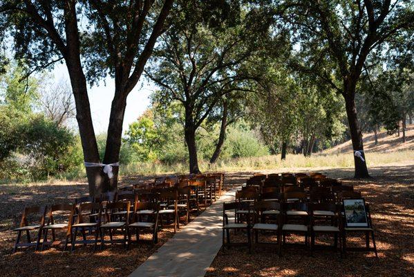 Magical Lighting provided the chiffon around all the trees, along with everything needed for audio support