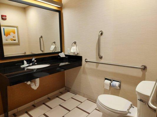 Sparkling clean bathroom with grab bars