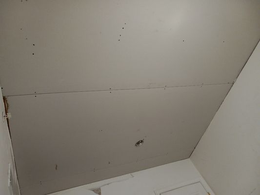 Here's the ceiling after I installed the drywall