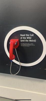 Can I phone in a play for the Niners on the red phone ?