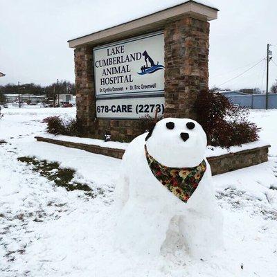 Snowdog during Snowmageddon 2016