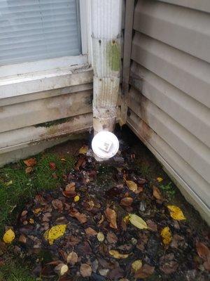 Outside building with mildew and mold, nasty water dripping from pipes