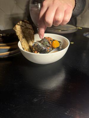 Steamed Mussels