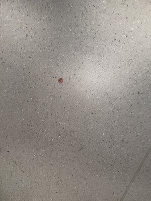 blood on the floor of my room