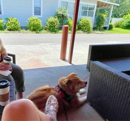 Lattes, Patio and pooches... the best