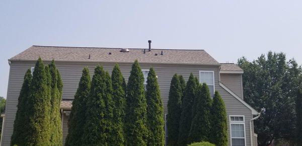 Vents painted to match new shingles