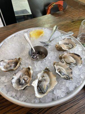 Half a dozen FRESH oysters