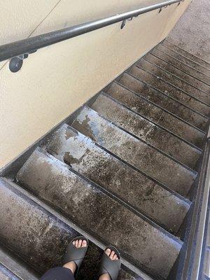 Slippery stairs that were left like this for 3+ days