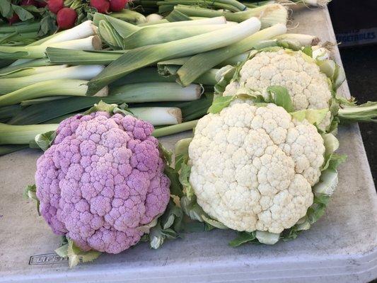 Beautiful cauliflower