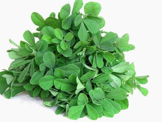 Fenugreek (Methi) leaves