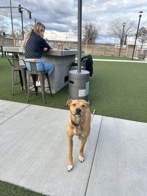 Outdoor area is dog friendly! Just don't let your dog pop the soccer-tennis ball like I did lmao