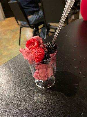 Raspberry Sorbet