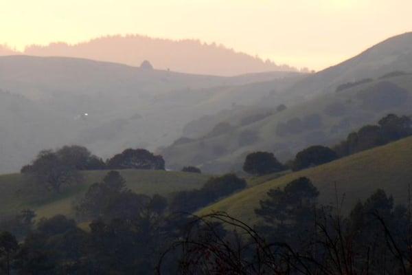 Hills of Marin